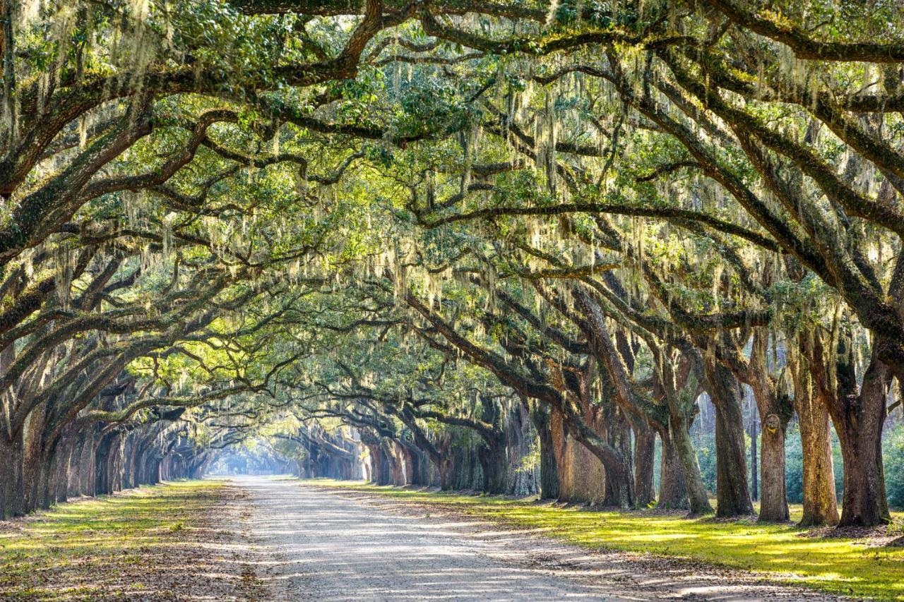 Silver Shores Tybee Island Esterno foto